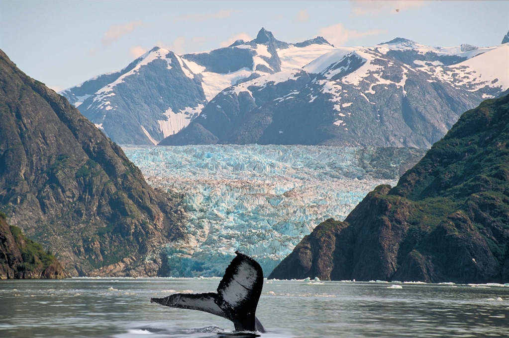 CRUCEROS ALASKA COLLEGE FJORD CRUISES ALASKA CRUISES